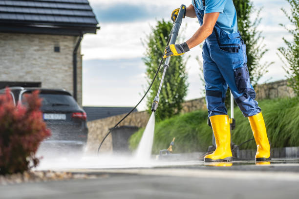 Best Vinyl Siding Pressure Washing in Lake Magdalene, FL